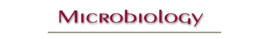 Microbiology